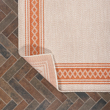 Lucia Classic Diamond Border Indoor/outdoor Area Rug